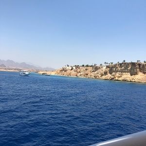 Meet your Posher, Sam